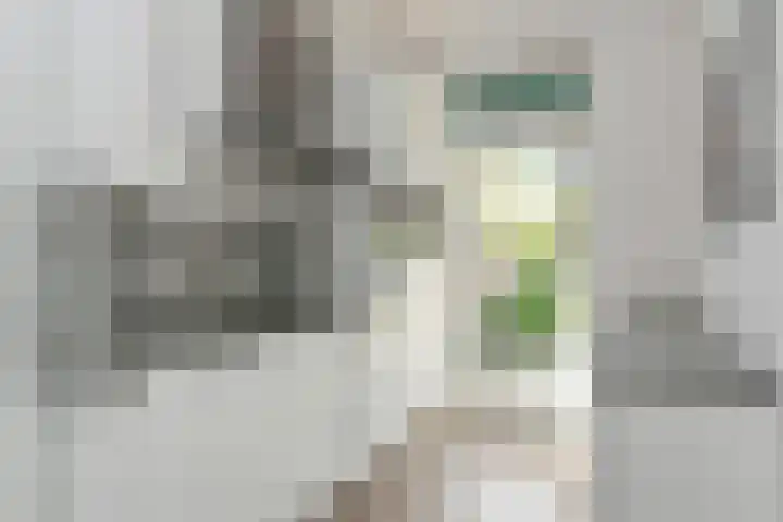 Ockeghemstraat 14 Eindhoven thumbnail 13