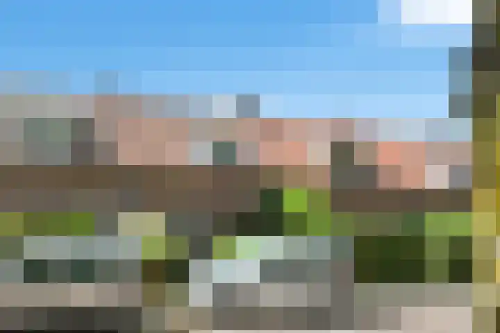 Ockeghemstraat 14 Eindhoven thumbnail 33