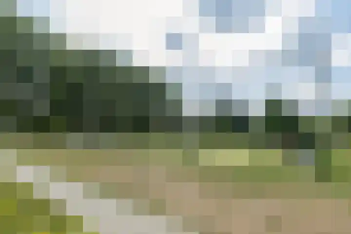 Ockeghemstraat 36 Vught thumbnail 33