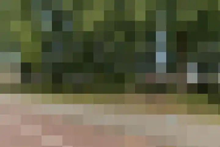 Ockeghemstraat 36 Vught thumbnail 36
