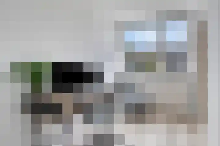 Ockeghemstraat 6 Vught thumbnail 15