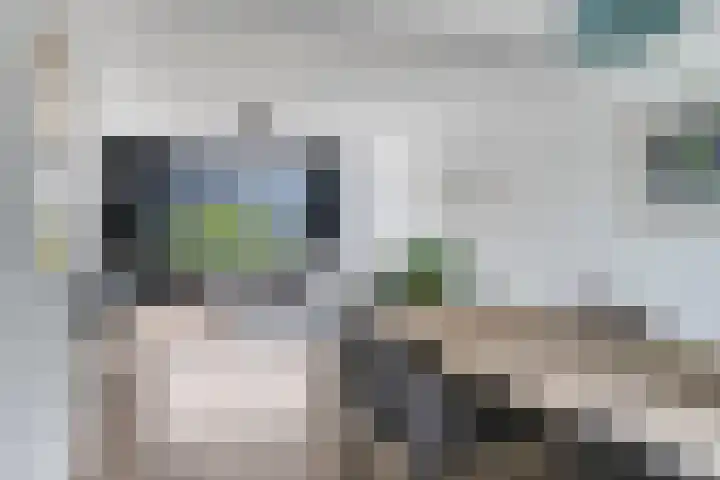 Ockeghemstraat 6 Vught thumbnail 4