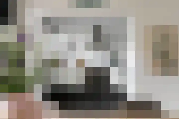 Ockeghemstraat 6 Vught thumbnail 7