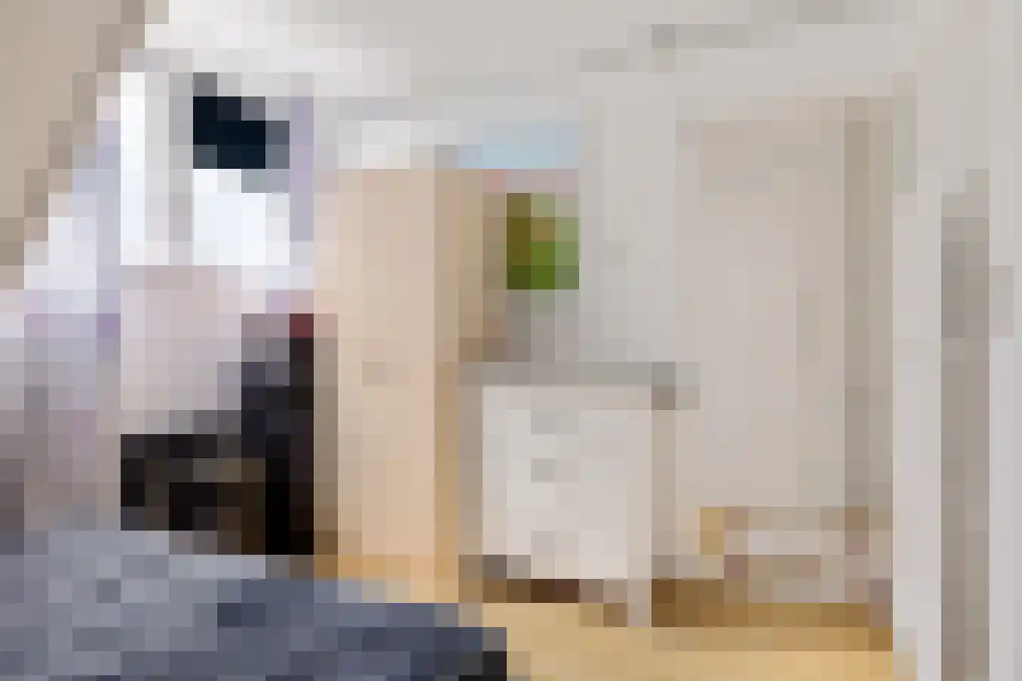 Ockeghemstraat 8 Eindhoven thumbnail 13
