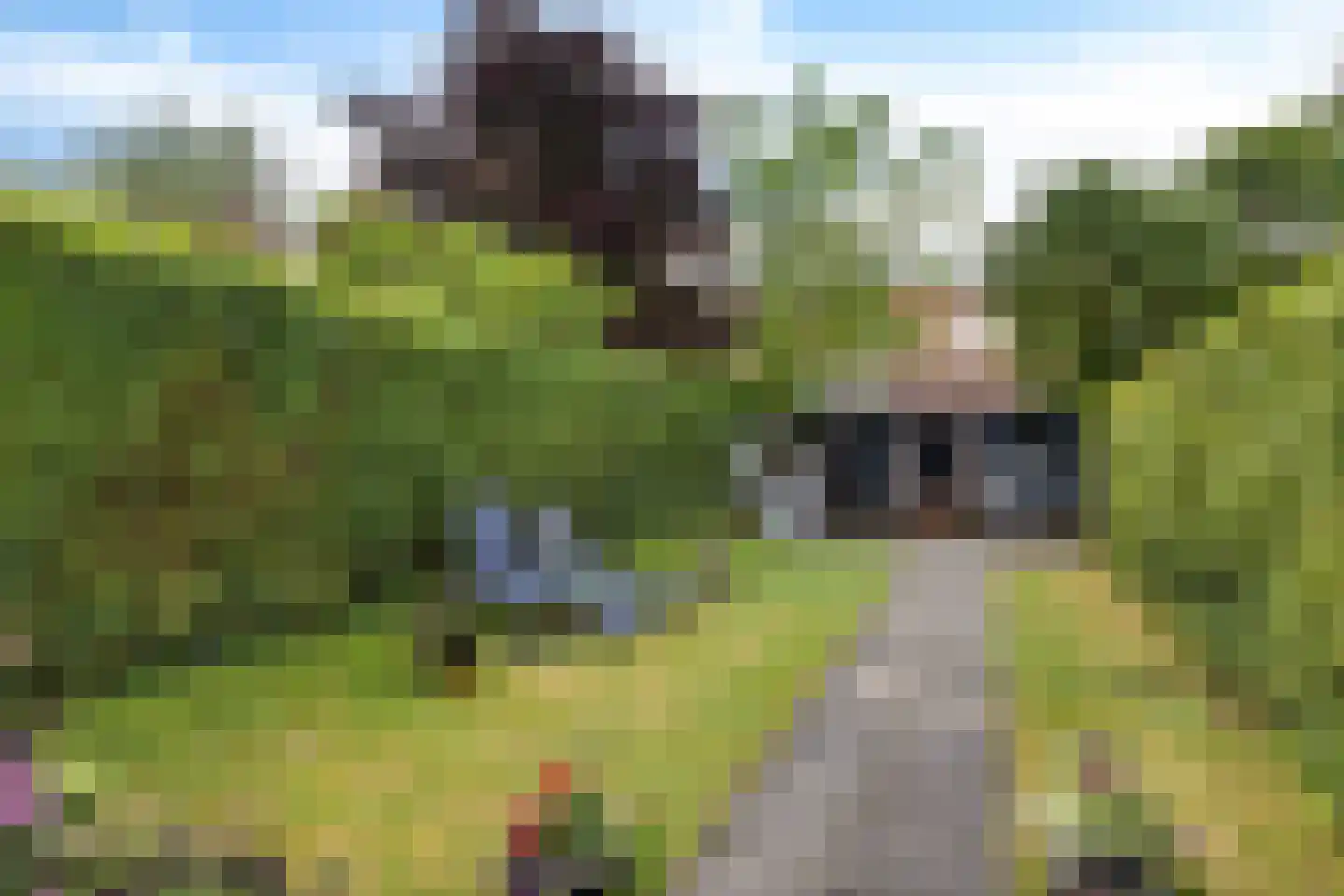 Ockeghemstraat 8 Eindhoven thumbnail 25