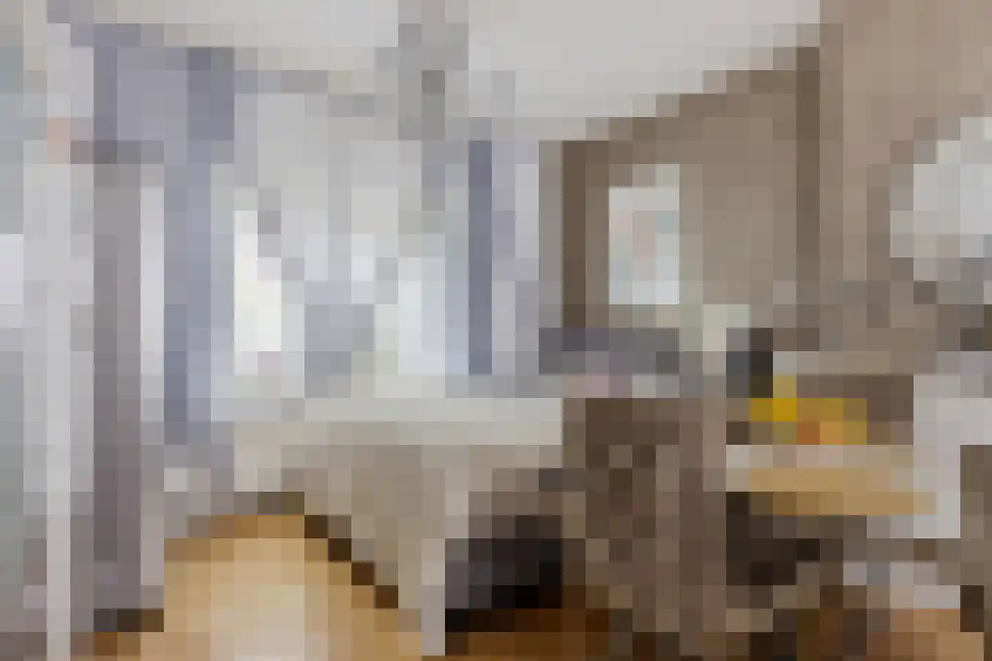 Ockeghemstraat 8 Eindhoven thumbnail 6