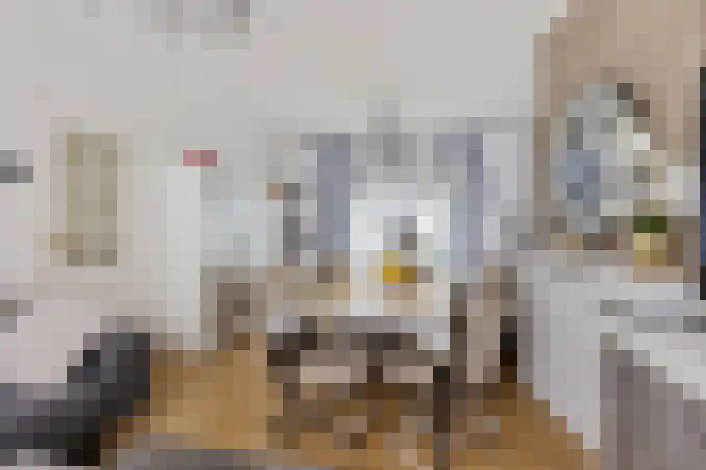 Ockeghemstraat 8 Eindhoven thumbnail 7