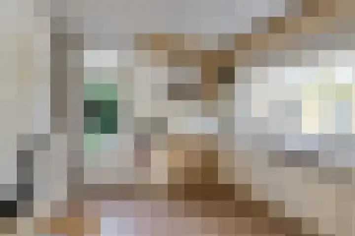 Ockenburg 6 Oosterhout thumbnail 22