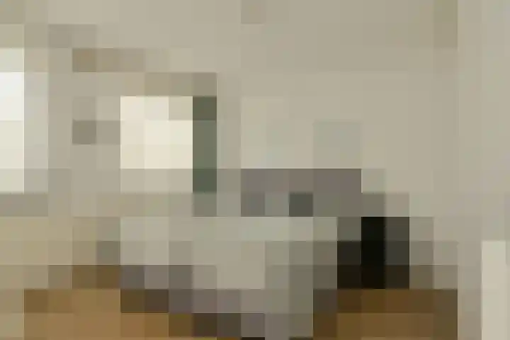 Ockenburg 6 Oosterhout thumbnail 32