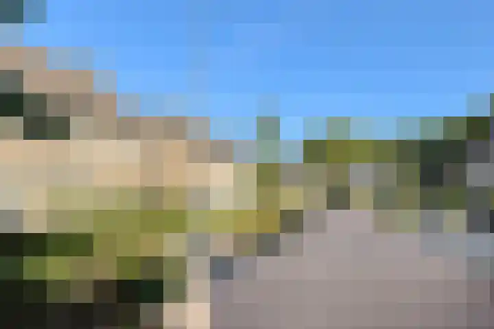 Ockenburg 6 Oosterhout thumbnail 4