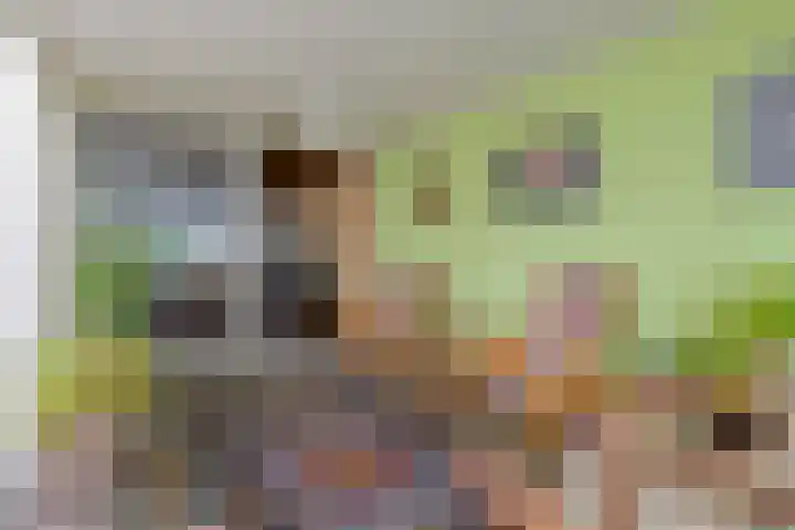 Ockenburg 7 Hillegom thumbnail 13
