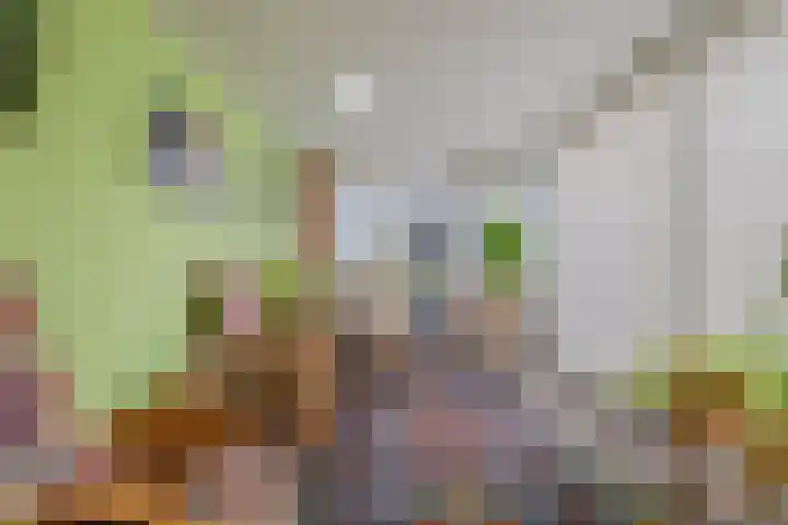 Ockenburg 7 Hillegom thumbnail 14
