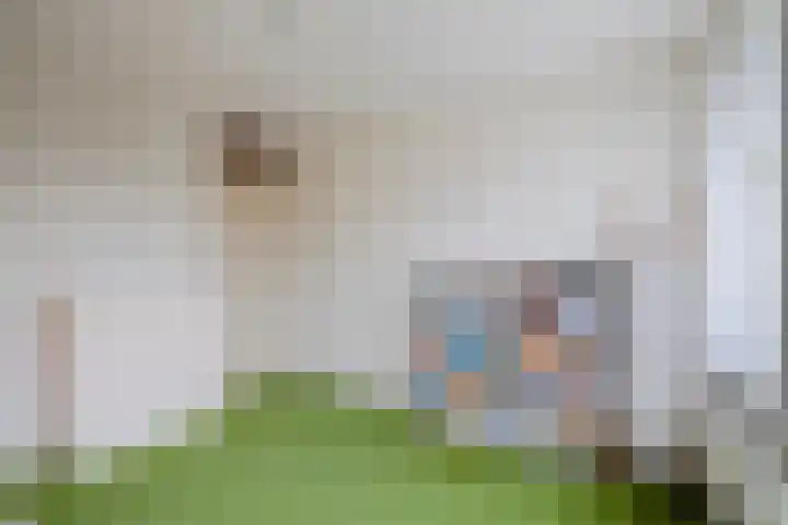 Ockenburg 7 Hillegom thumbnail 24