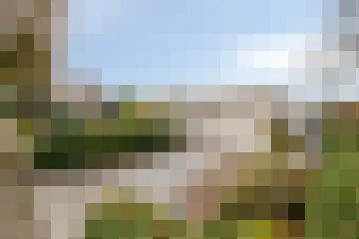 Ockenburg 7 Hillegom thumbnail 29
