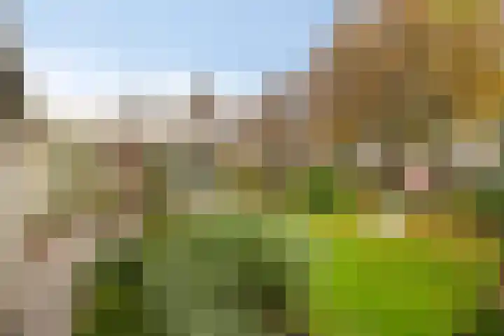 Ockenburg 7 Hillegom thumbnail 30