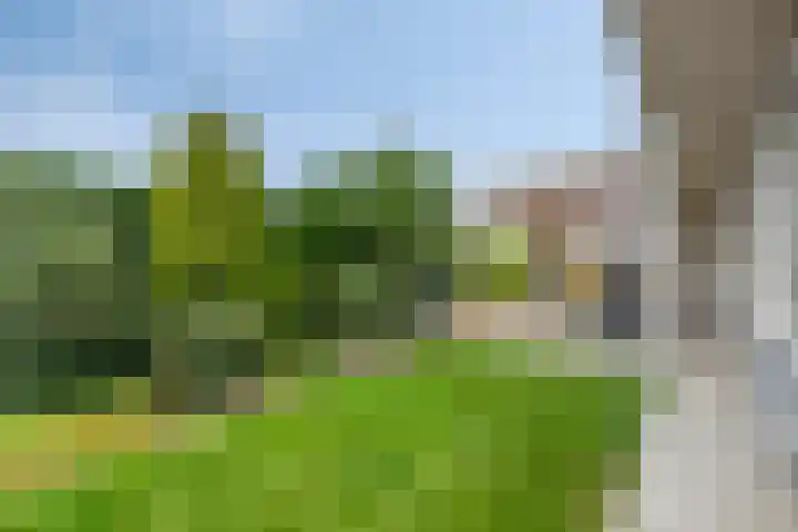 Ockenburg 7 Hillegom thumbnail 31