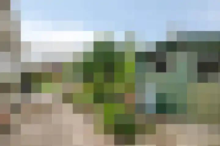 Ockenburg 7 Hillegom thumbnail 33