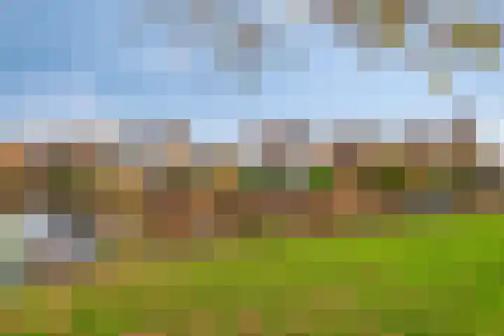 Ockenburg 7 Hillegom thumbnail 36