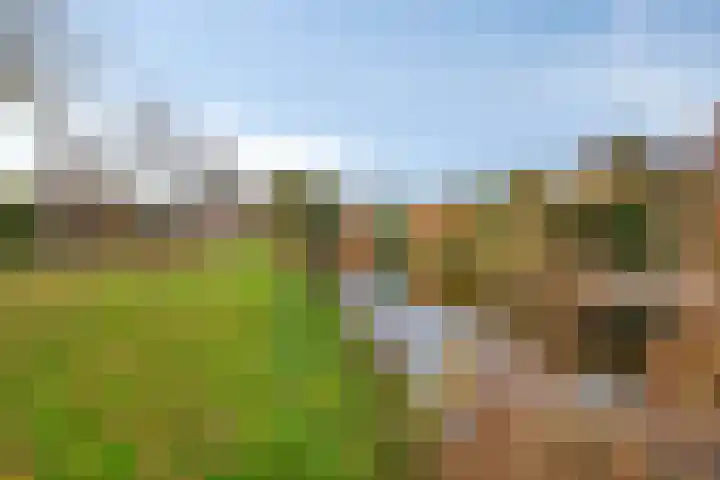 Ockenburg 7 Hillegom thumbnail 37