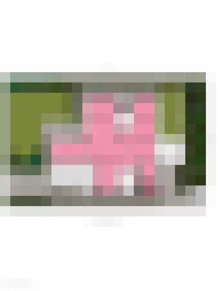 Ockenburg 7 Hillegom thumbnail 41
