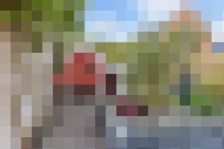 Ockenburger Tientweg 12 Rijswijk thumbnail 19