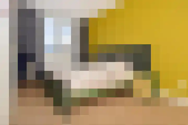 Ockenburger Tientweg 12 Rijswijk thumbnail 43