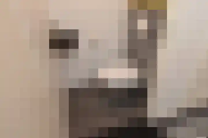 Ockenburger Tientweg 12 Rijswijk thumbnail 8