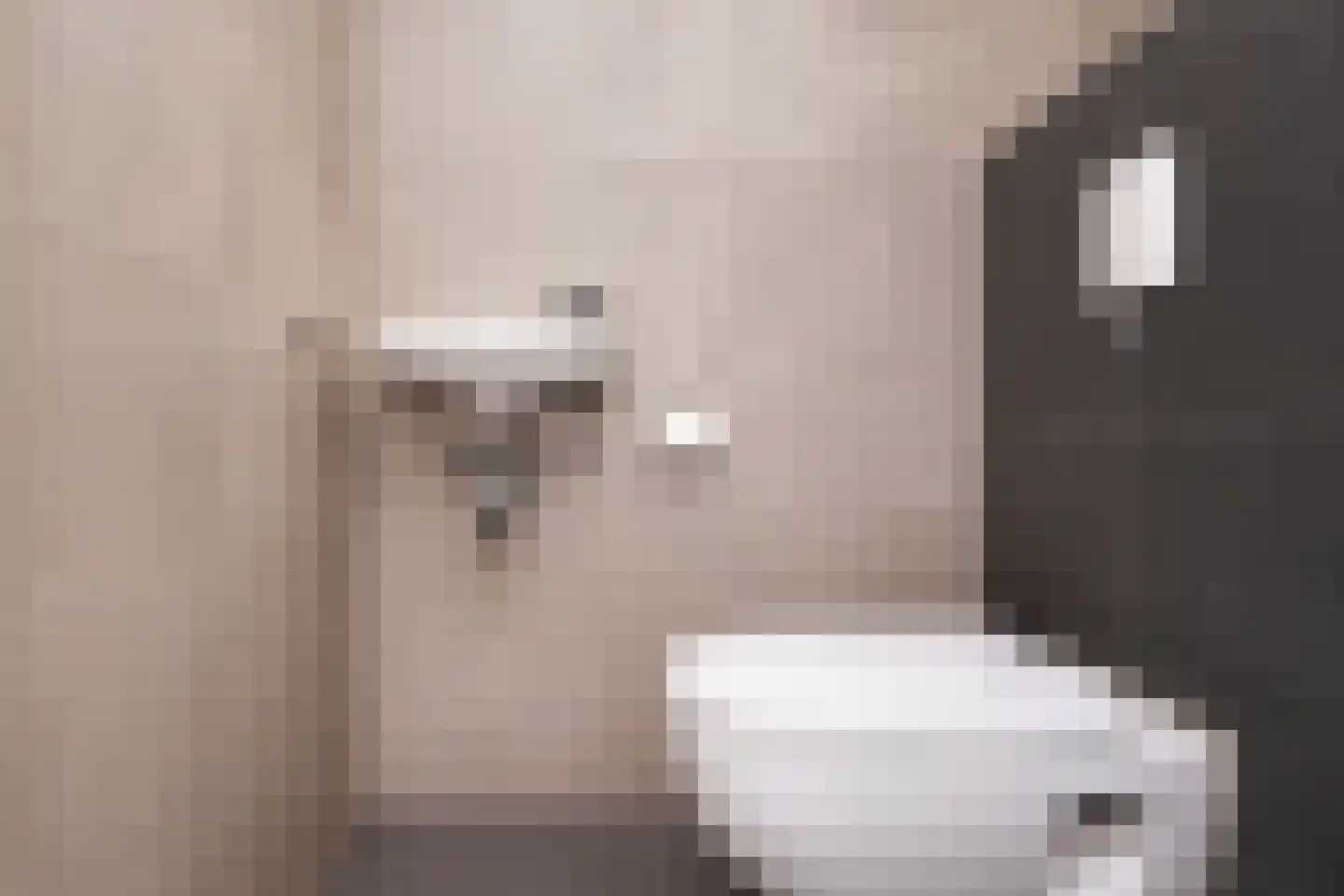 Ockenburger Tientweg 4 Rijswijk thumbnail 6