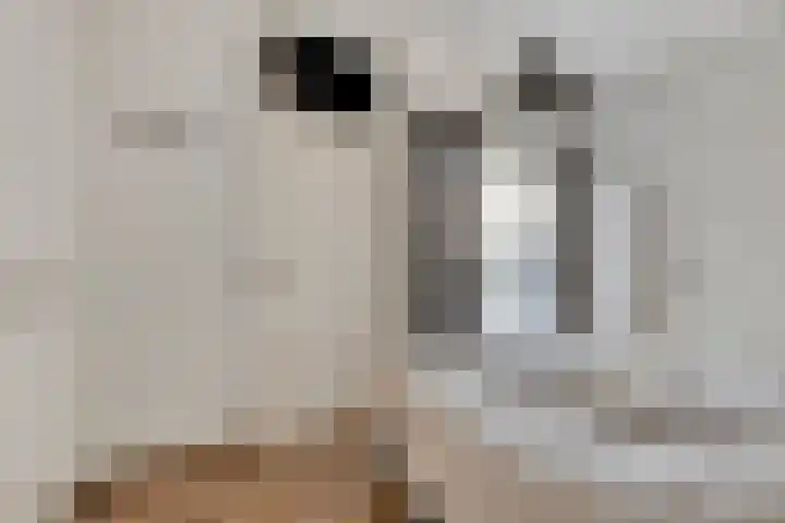 Ockenburgerf 16 Tilburg thumbnail 18