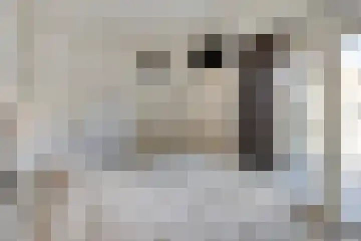 Ockenburgerf 16 Tilburg thumbnail 19