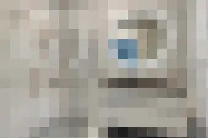 Ockenburgerf 16 Tilburg thumbnail 20