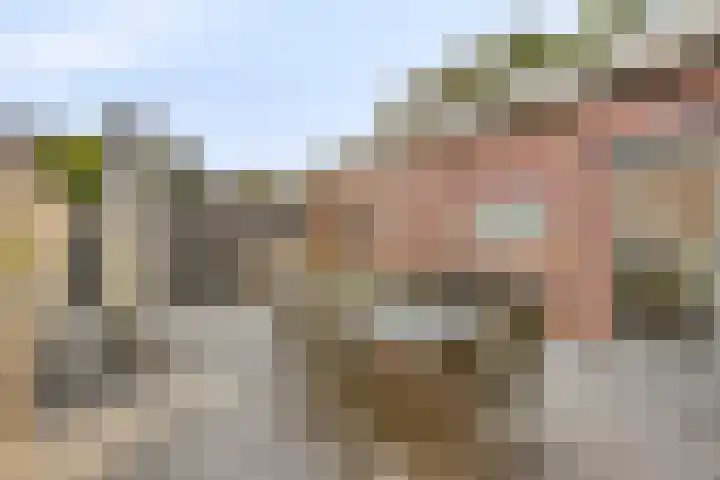 Ockenburgerf 16 Tilburg thumbnail 23