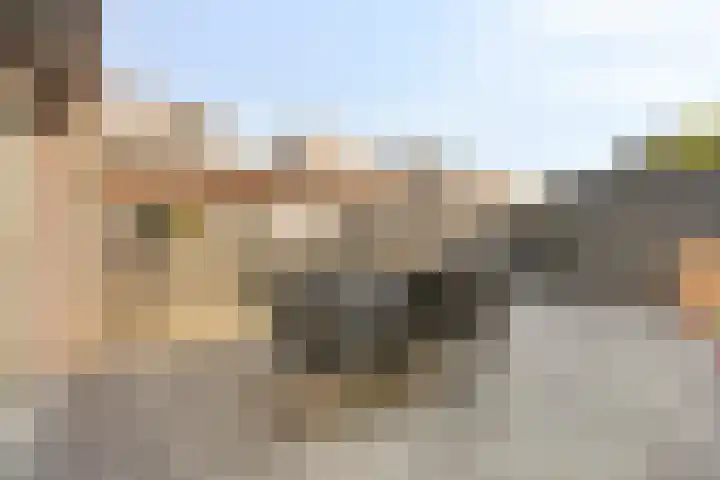 Ockenburgerf 16 Tilburg thumbnail 24