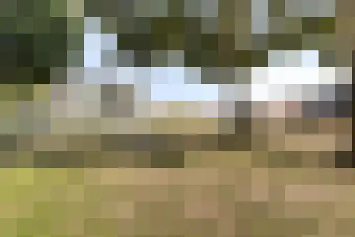 Ockenburgerf 16 Tilburg thumbnail 30