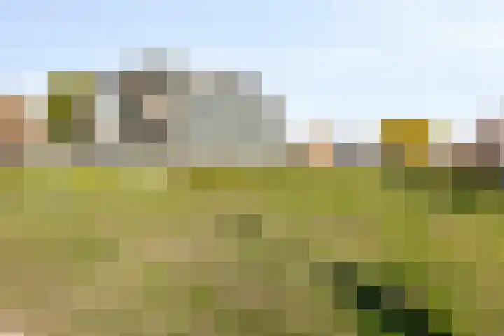 Ockenburgerf 16 Tilburg thumbnail 31