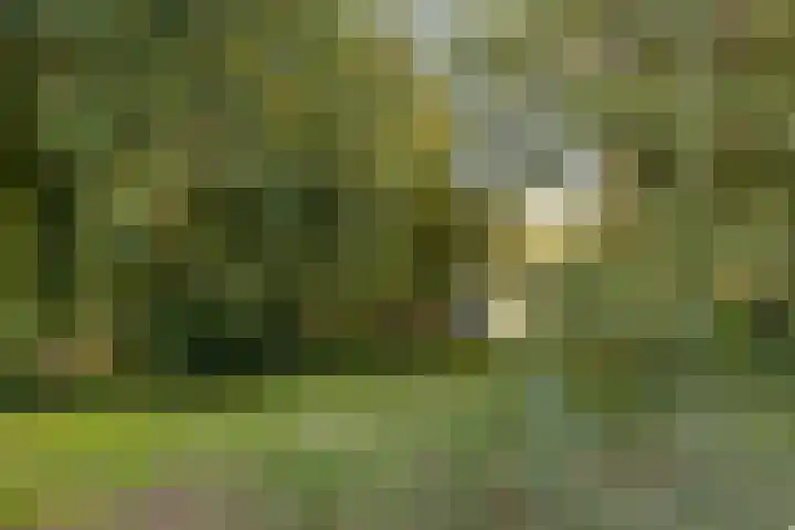Ockenburgerf 16 Tilburg thumbnail 32