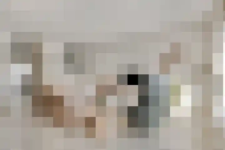 Ockenburgerf 16 Tilburg thumbnail 4