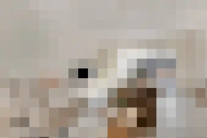 Ockenburgerf 16 Tilburg thumbnail 5