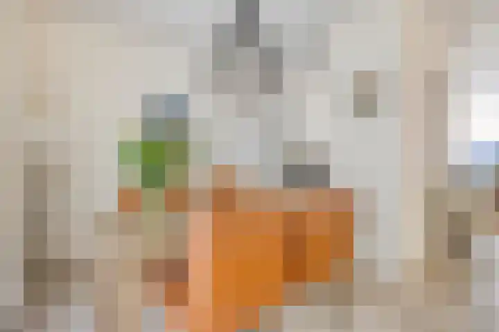 Ockenburgerf 16 Tilburg thumbnail 7