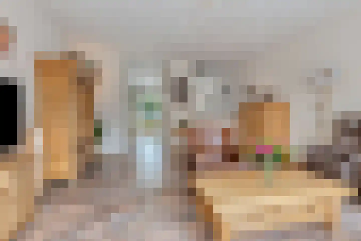 Ockenburgerf 4 Tilburg thumbnail 13