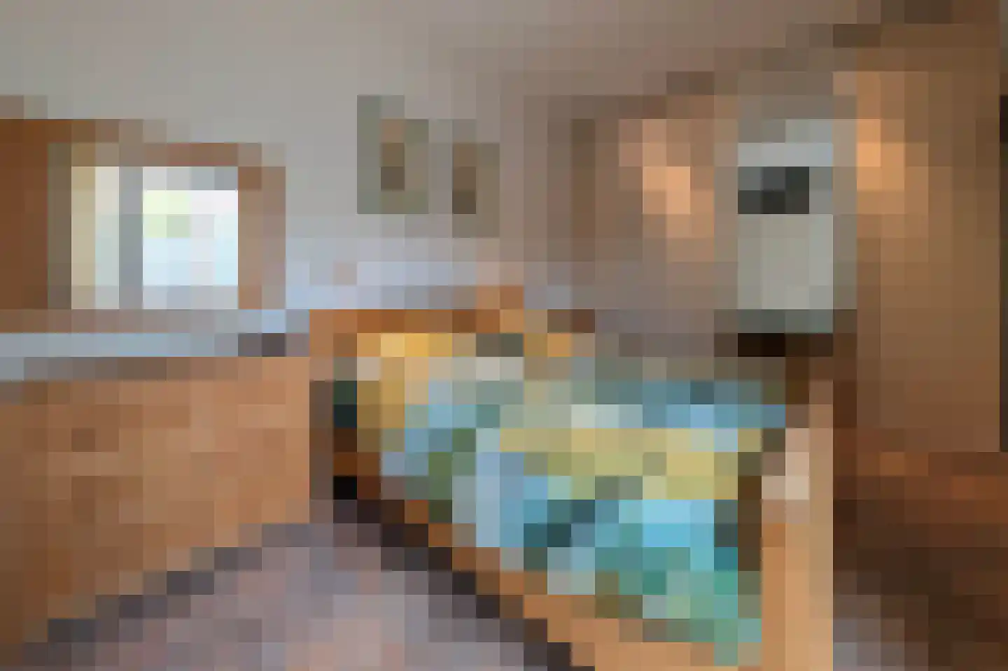 Ockenburgerf 4 Tilburg thumbnail 21