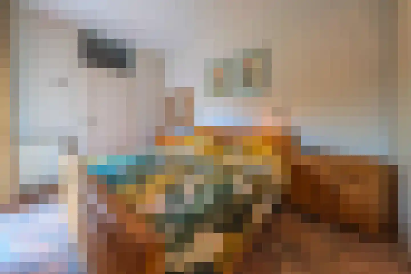 Ockenburgerf 4 Tilburg thumbnail 22