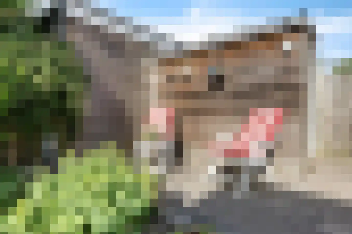 Ockenburgh 32 Amstelveen thumbnail 13