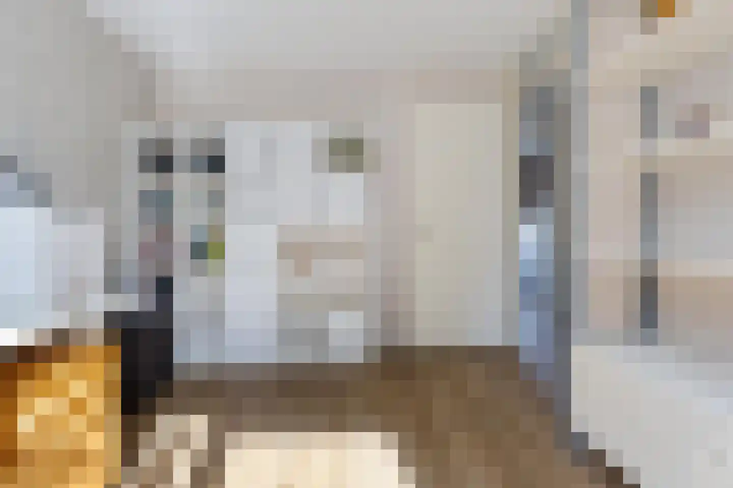 Ockenburgh 32 Amstelveen thumbnail 23