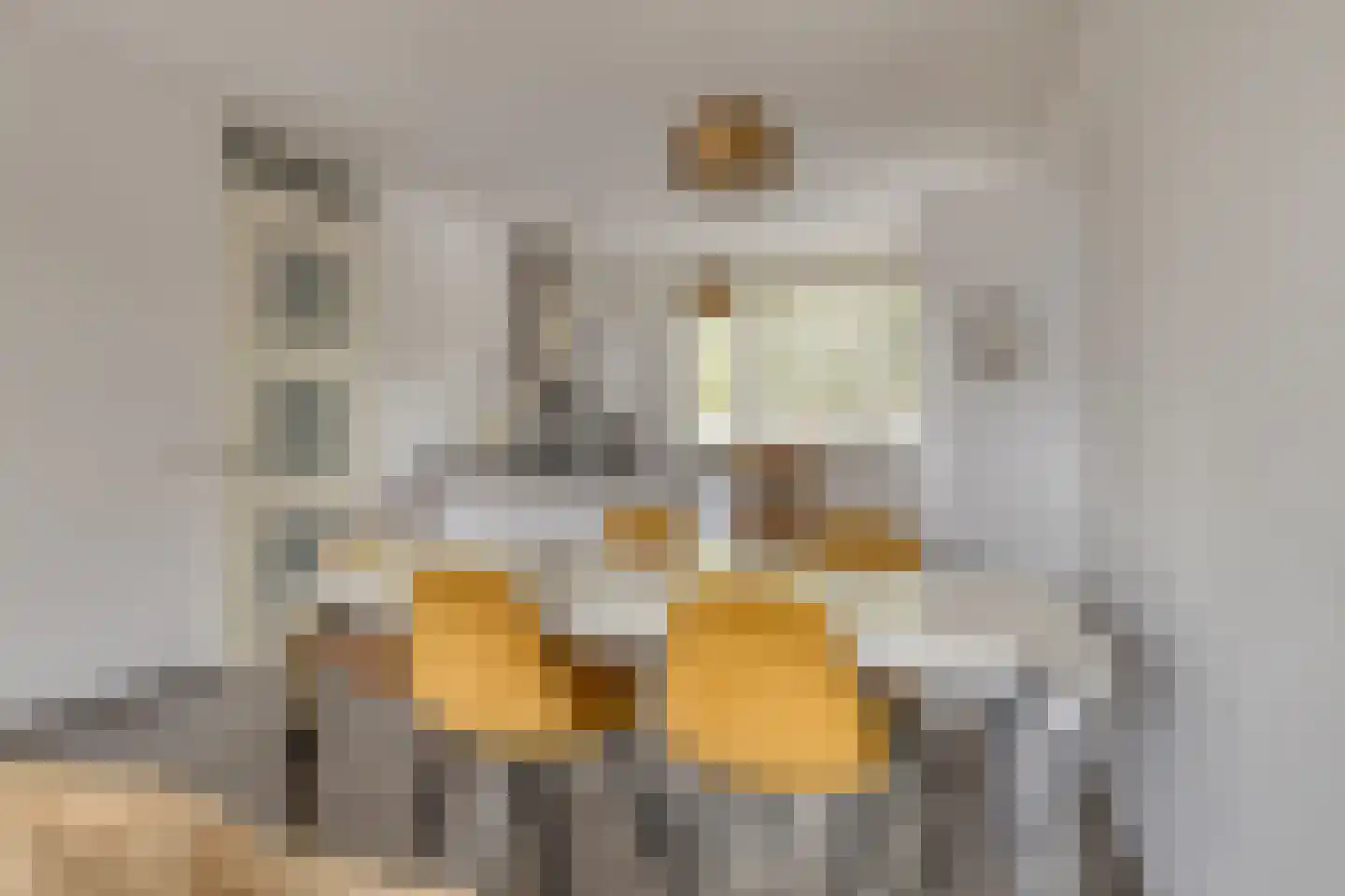 Ockenburghof 9 Bleiswijk thumbnail 13