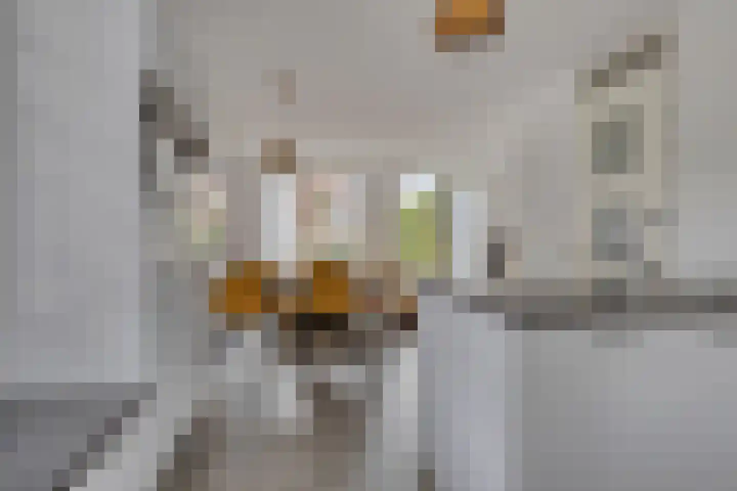 Ockenburghof 9 Bleiswijk thumbnail 14