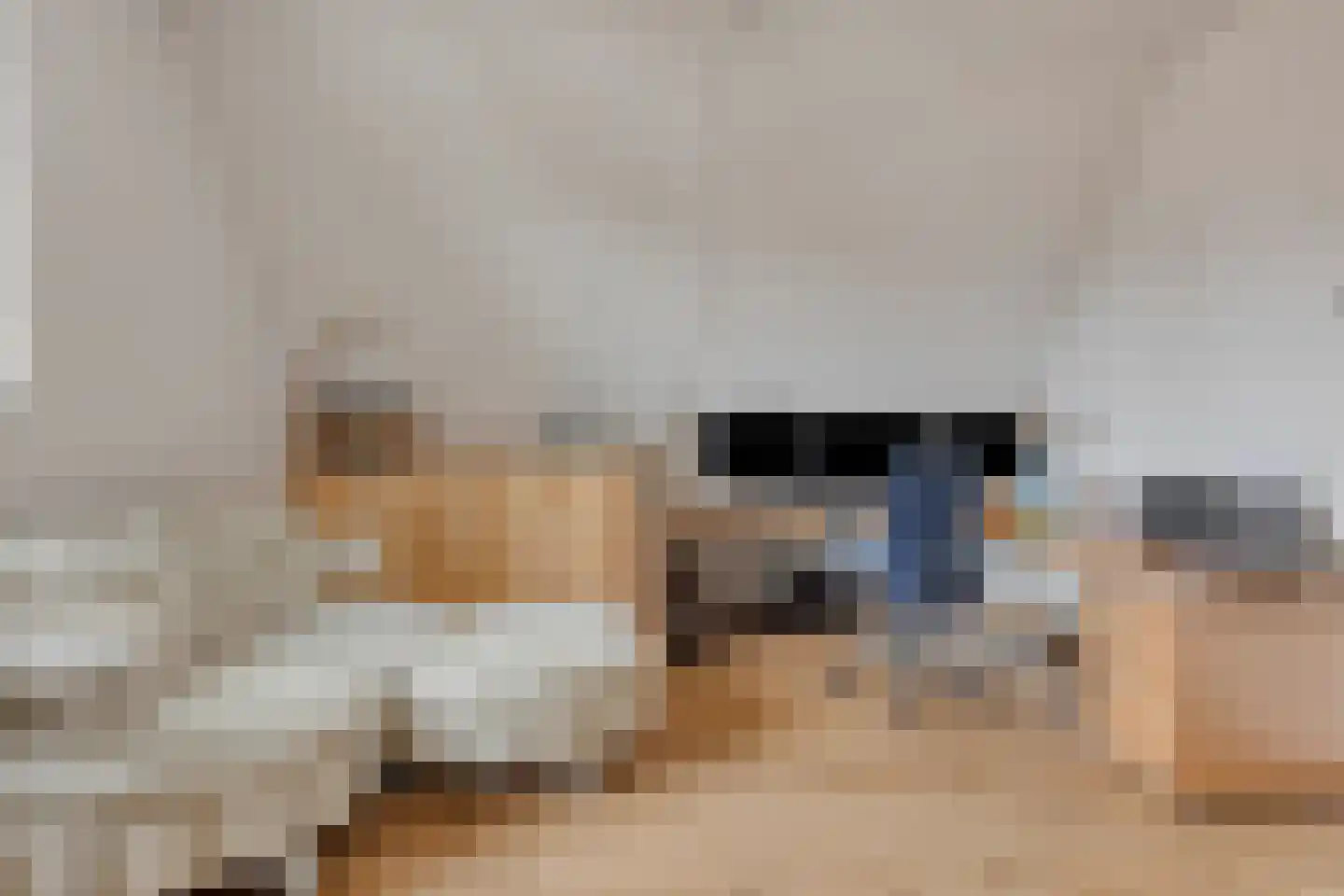 Ockenburghof 9 Bleiswijk thumbnail 37