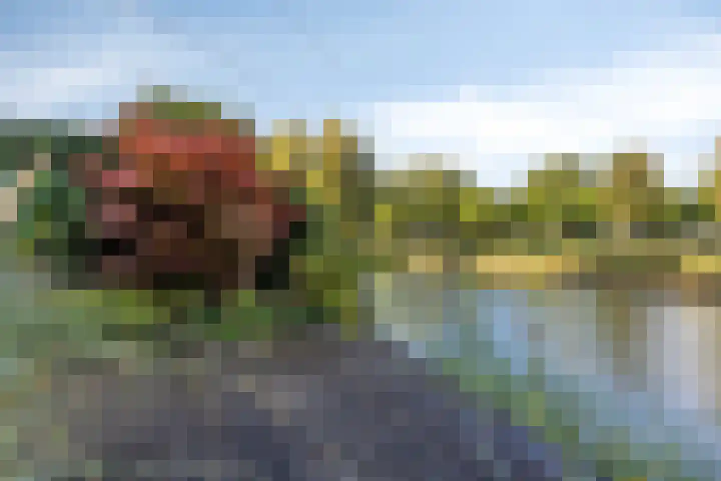 Ockenburghof 9 Bleiswijk thumbnail 45