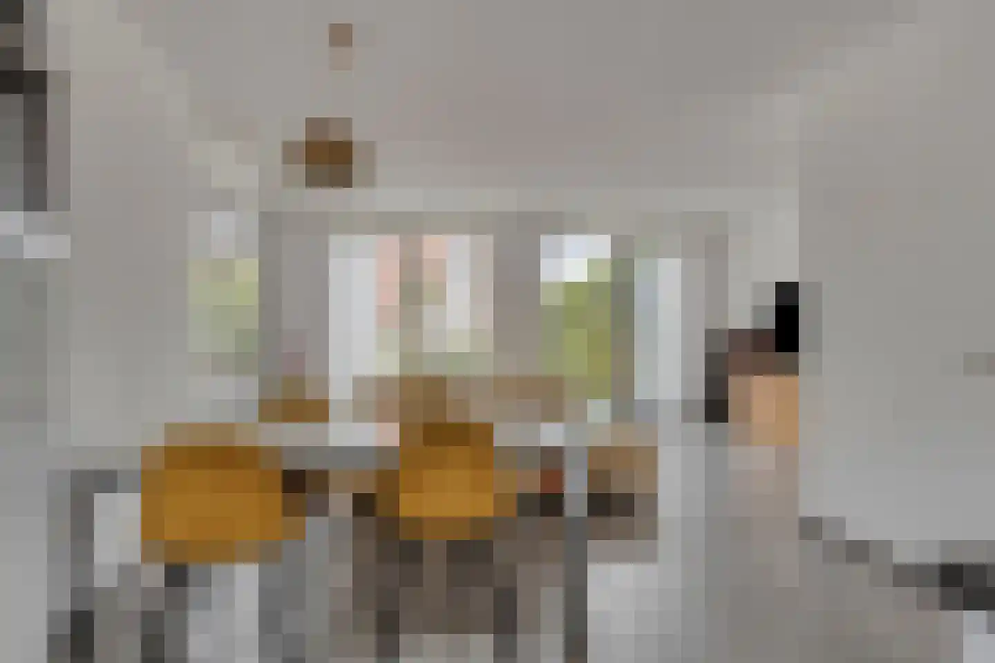 Ockenburghof 9 Bleiswijk thumbnail 8