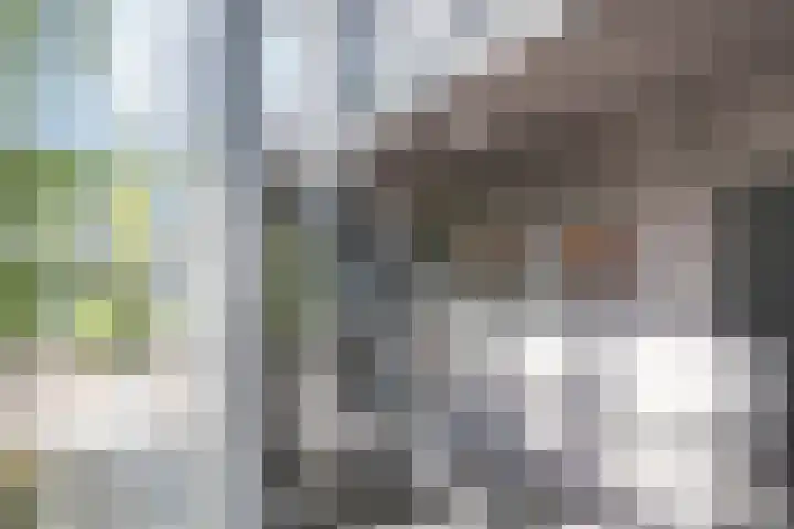 Ockenburghpark 11 Helmond thumbnail 11